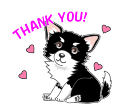 Little plump Chihuahua sticker #4222704