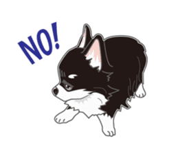Little plump Chihuahua sticker #4222706