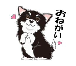 Little plump Chihuahua sticker #4222712