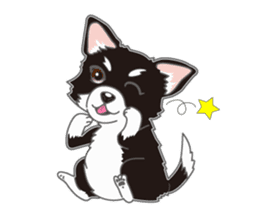 Little plump Chihuahua sticker #4222716