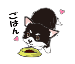 Little plump Chihuahua sticker #4222722