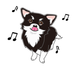 Little plump Chihuahua sticker #4222727