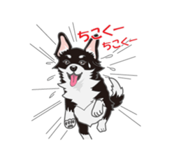 Little plump Chihuahua sticker #4222733