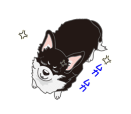 Little plump Chihuahua sticker #4222736