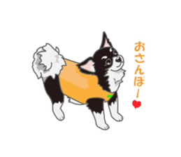 Little plump Chihuahua sticker #4222738