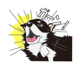 Little plump Chihuahua sticker #4222739