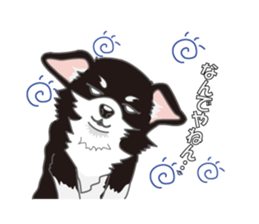 Little plump Chihuahua sticker #4222740