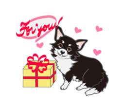 Little plump Chihuahua sticker #4222742