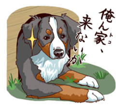 Bernese Mountain Dog Sticker BANISUTA sticker #4223066