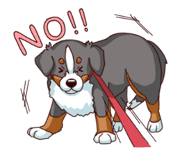 Bernese Mountain Dog Sticker BANISUTA sticker #4223068