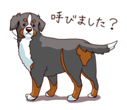 Bernese Mountain Dog Sticker BANISUTA sticker #4223086