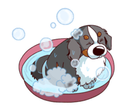 Bernese Mountain Dog Sticker BANISUTA sticker #4223087