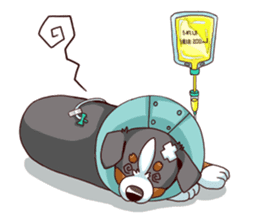 Bernese Mountain Dog Sticker BANISUTA sticker #4223089