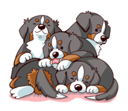 Bernese Mountain Dog Sticker BANISUTA sticker #4223102