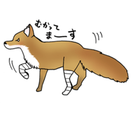 Feminine Animals sticker #4223478