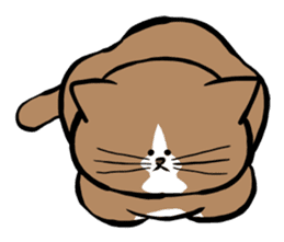 Tsuyoshi Kounoike and his cat Ponta sticker #4225915