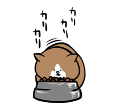 Tsuyoshi Kounoike and his cat Ponta sticker #4225927
