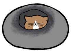 Tsuyoshi Kounoike and his cat Ponta sticker #4225931