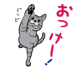 Tama & Nyanta sticker #4226720