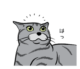 Tama & Nyanta sticker #4226735