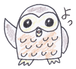 Ho-kun the owl sticker #4228144