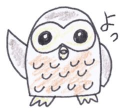Ho-kun the owl sticker #4228144