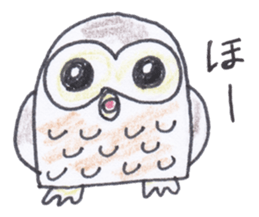Ho-kun the owl sticker #4228146