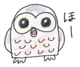 Ho-kun the owl sticker #4228146