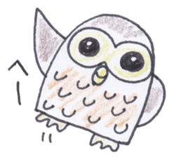 Ho-kun the owl sticker #4228147