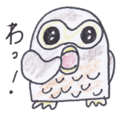 Ho-kun the owl sticker #4228150