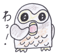 Ho-kun the owl sticker #4228150
