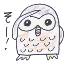 Ho-kun the owl sticker #4228151