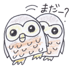Ho-kun the owl sticker #4228156