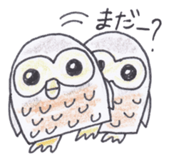 Ho-kun the owl sticker #4228156