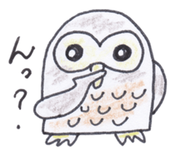 Ho-kun the owl sticker #4228160