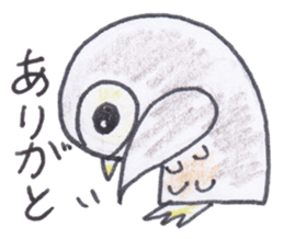Ho-kun the owl sticker #4228165