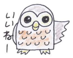 Ho-kun the owl sticker #4228166