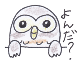 Ho-kun the owl sticker #4228172