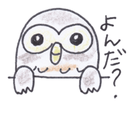 Ho-kun the owl sticker #4228172