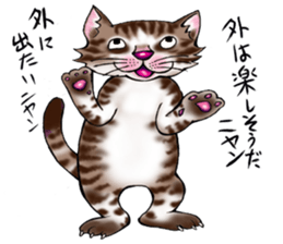 kojirou cats sticker #4231873