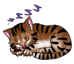 kojirou cats sticker #4231874