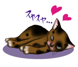 kojirou cats sticker #4231879