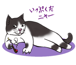 kojirou cats sticker #4231884