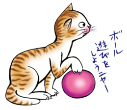 kojirou cats sticker #4231886