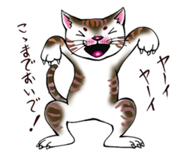 kojirou cats sticker #4231887