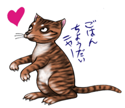 kojirou cats sticker #4231893