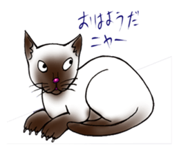 kojirou cats sticker #4231895