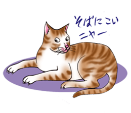 kojirou cats sticker #4231896