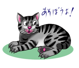 kojirou cats sticker #4231897