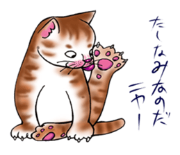 kojirou cats sticker #4231898
